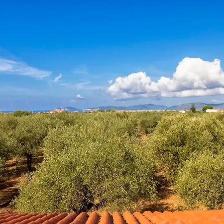 Sardinia Re - Donna Beatrice * ألغيرو