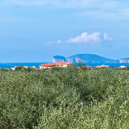 Sardinia Re - Donna Beatrice * ألغيرو