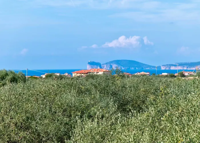 Sardinia Re - Donna Beatrice * Alghero